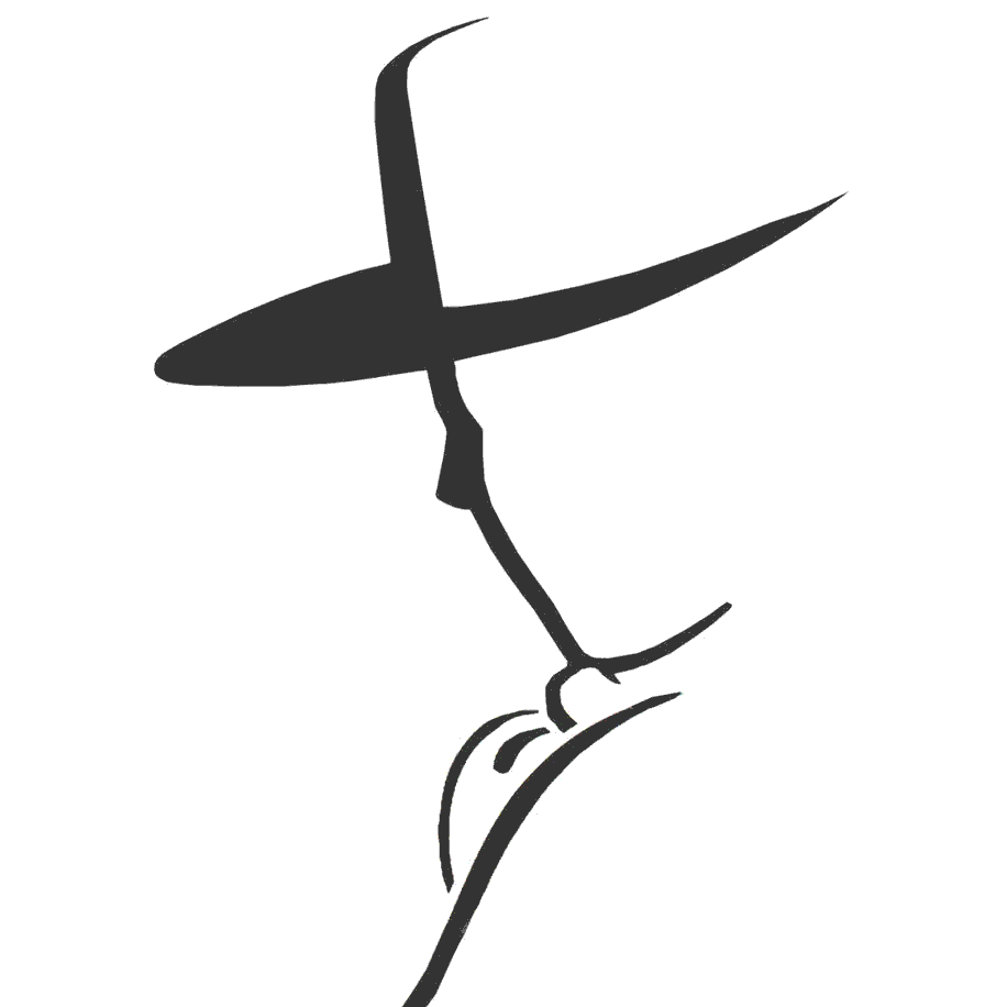 images/Farofa mirror.gif